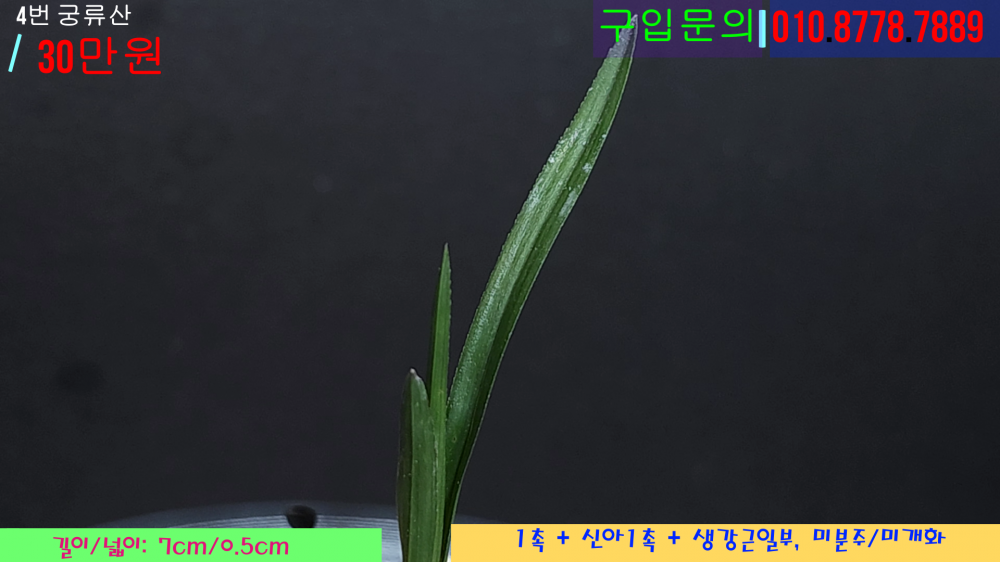 1752954495_687bf67f490c2.png