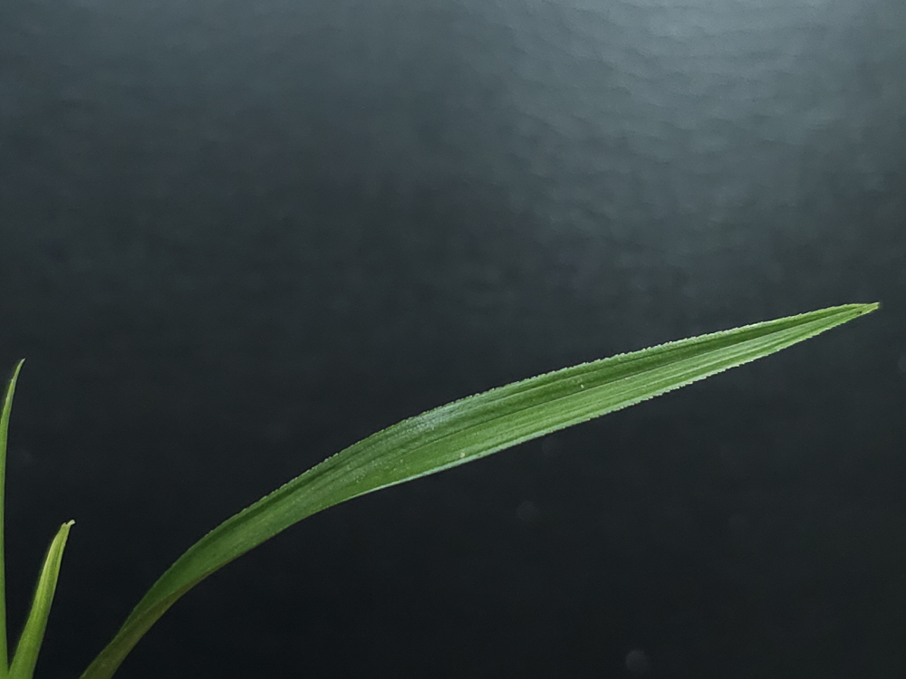 1755698098_68a5d3b2d9ec2.jpg