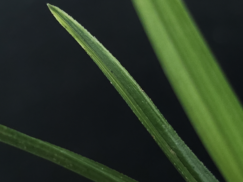1755698099_68a5d3b30fc63.jpg