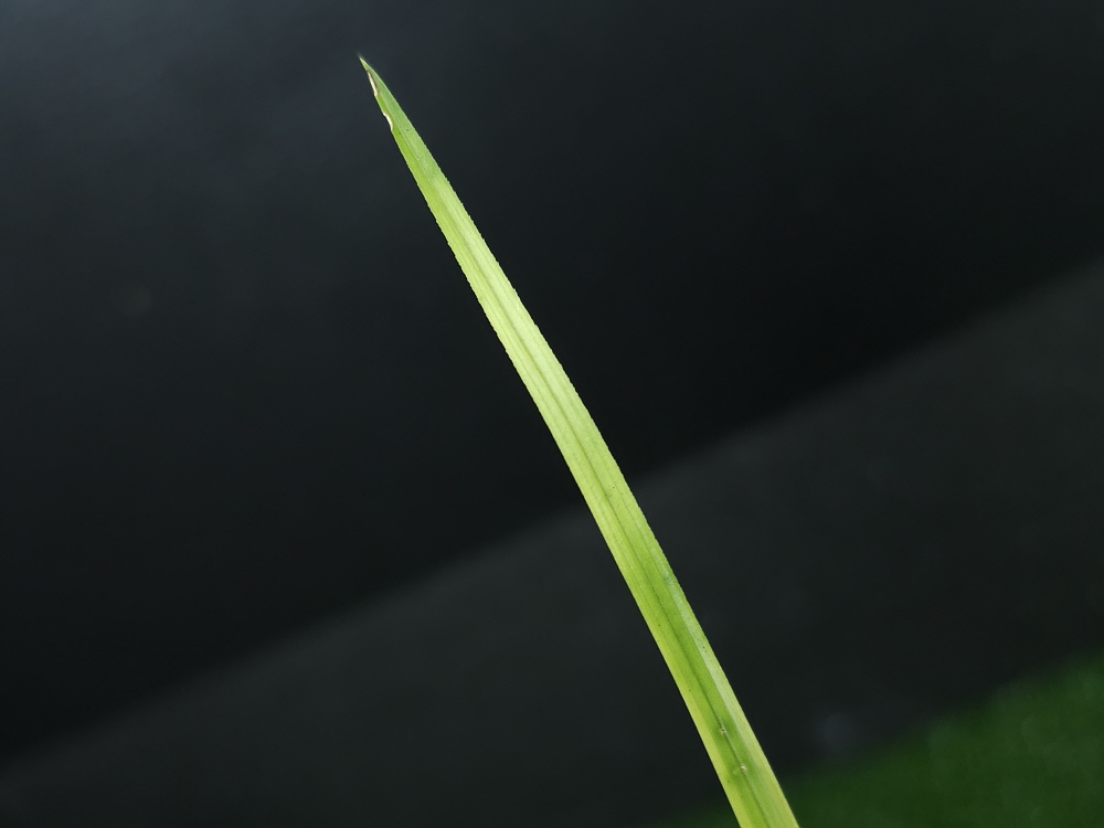 1757145392_68bbe9304b3e7.jpg