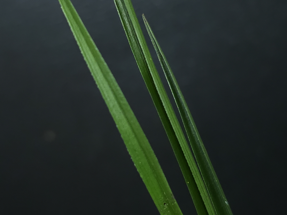 1757146355_68bbecf353e33.jpg