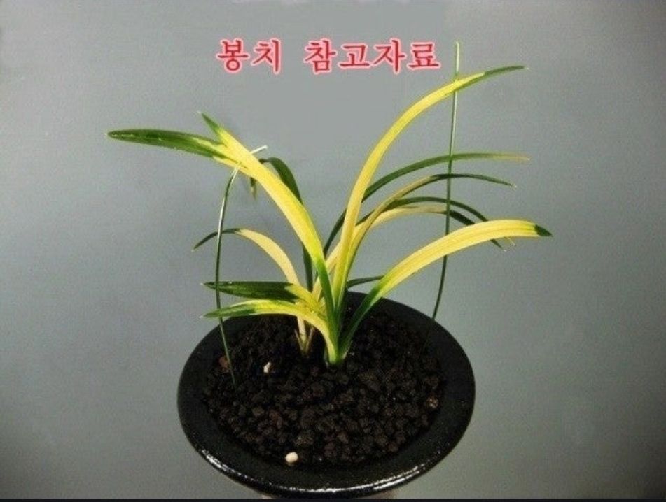 @@@ 종자목 하세요  @@@