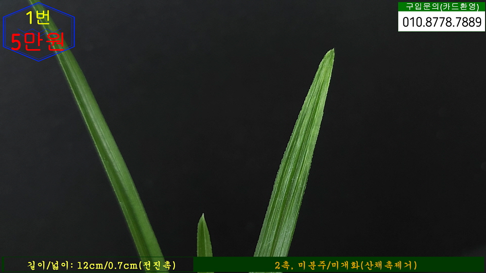 1757764711_68c55c6702c94.jpg