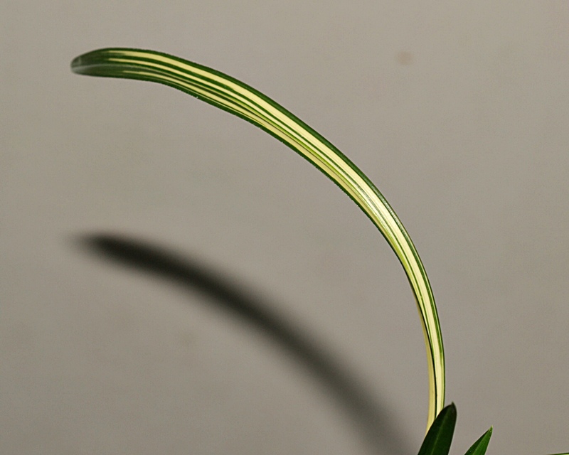 1757950224_68c8311004731.jpg