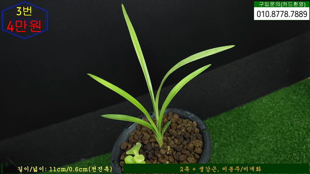 합천산 엽성서