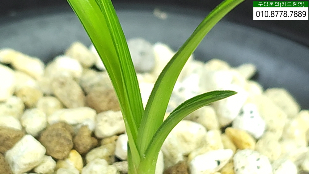 1759040839_68d8d54734687.jpg