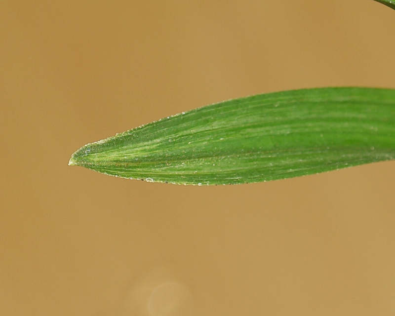 1759930314_68e667ca94ef0.jpg