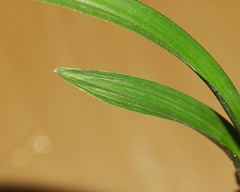 1759930314_68e667ca9fc63.jpg