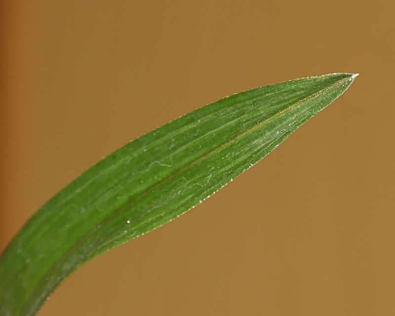 1759930314_68e667caaac99.jpg
