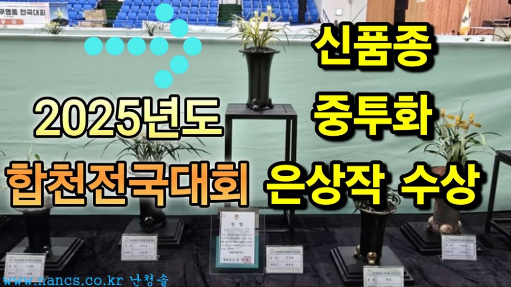 중투화