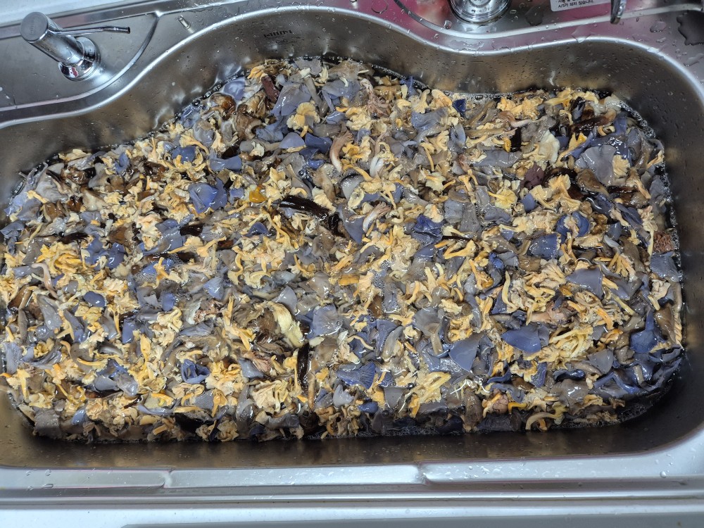 자연산 식용 잡버섯