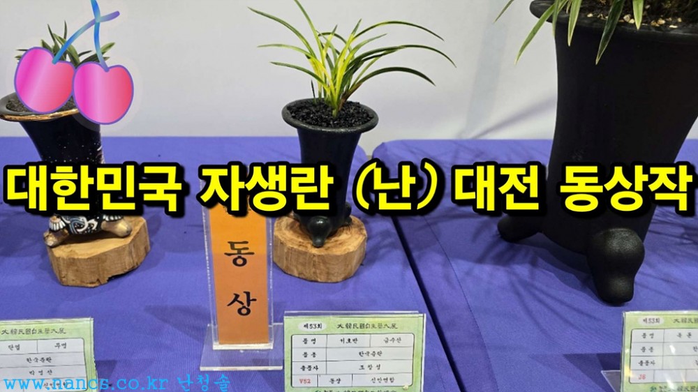 금수산(동상 수상작)