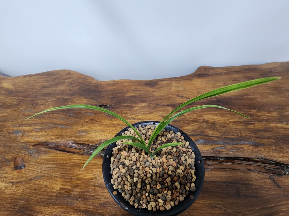 @@@ 종자목 하세요  @@@