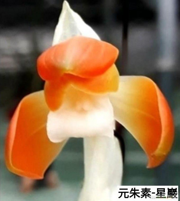 @@@ 종자목 하세요  @@@