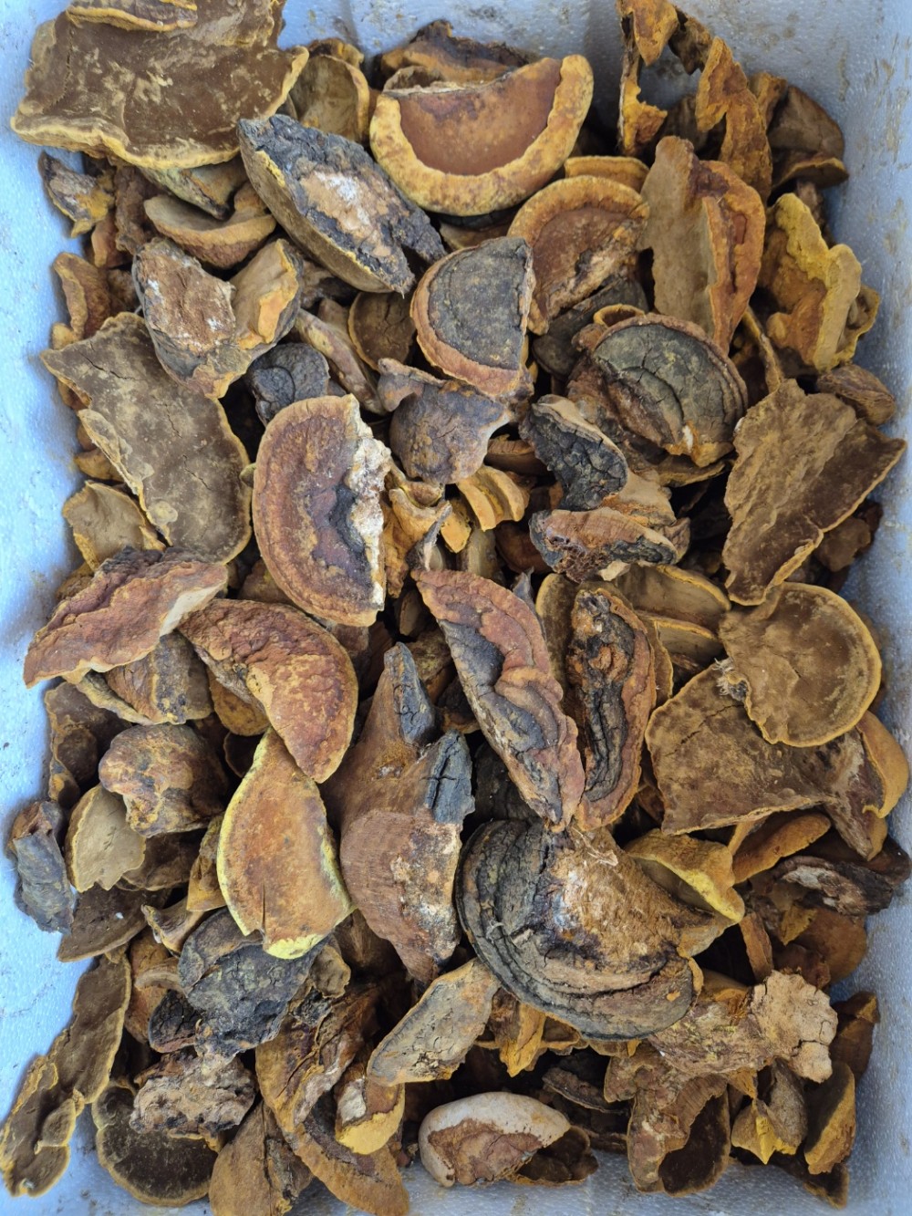 황철상황(갓,편) 판매