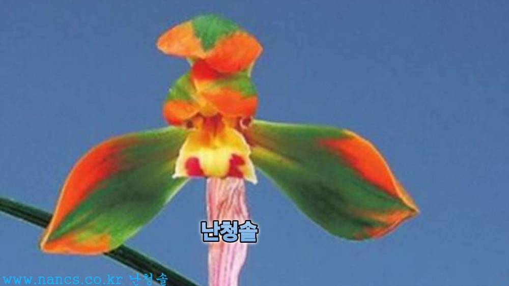 옥로(전시작품/꽃3경)