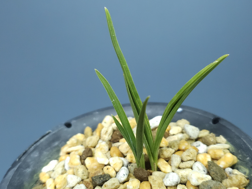 남암산 땡땡이서호반