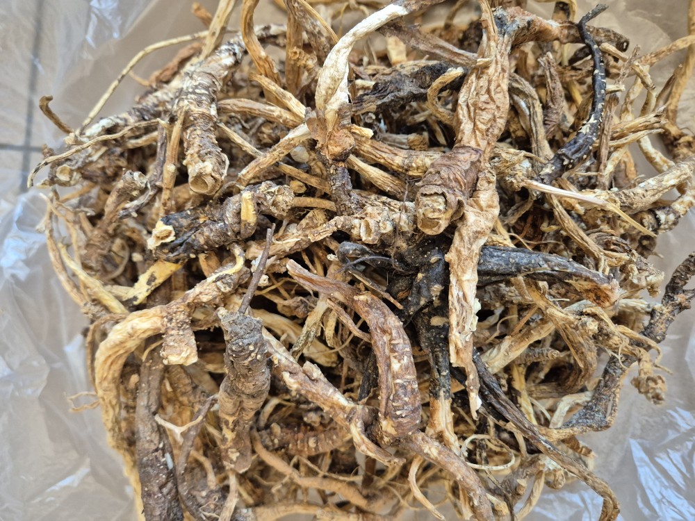 자연산 건조 도라지