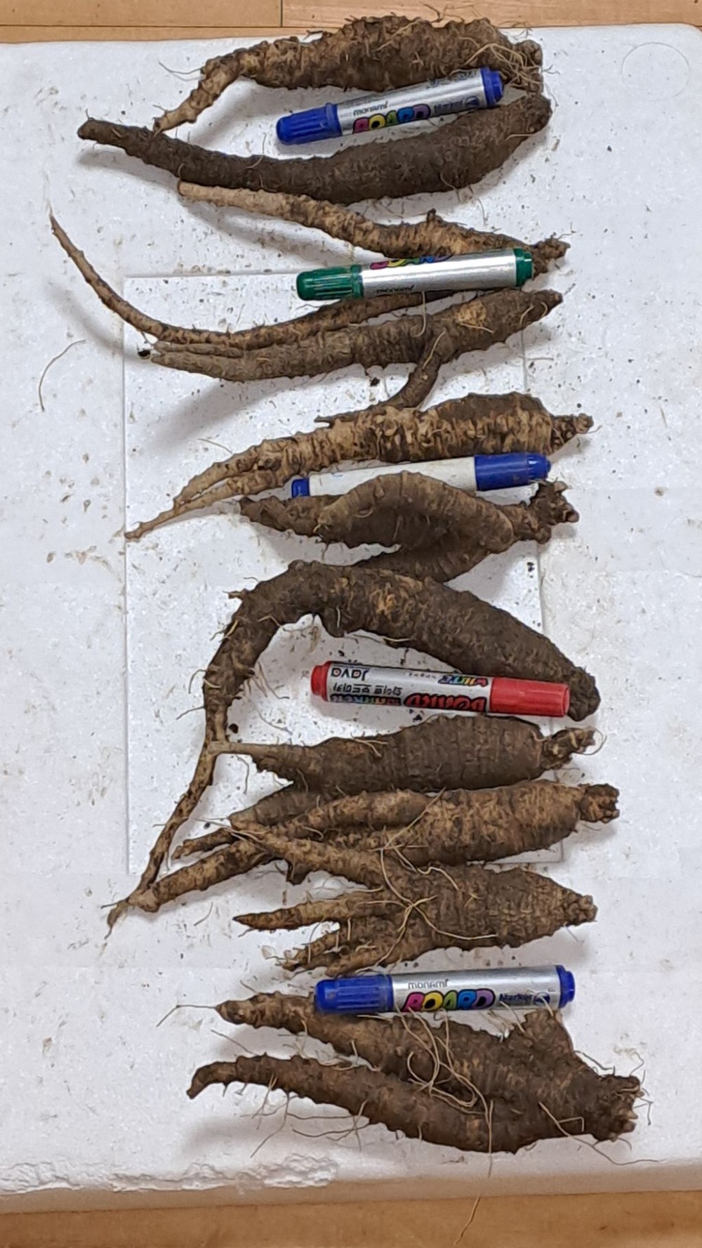 자연산 더덕 담금용/식?