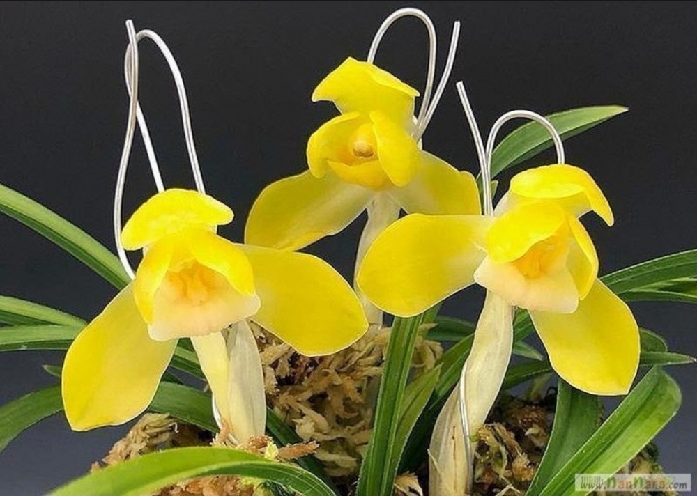 보름달☆☆☆☆☆