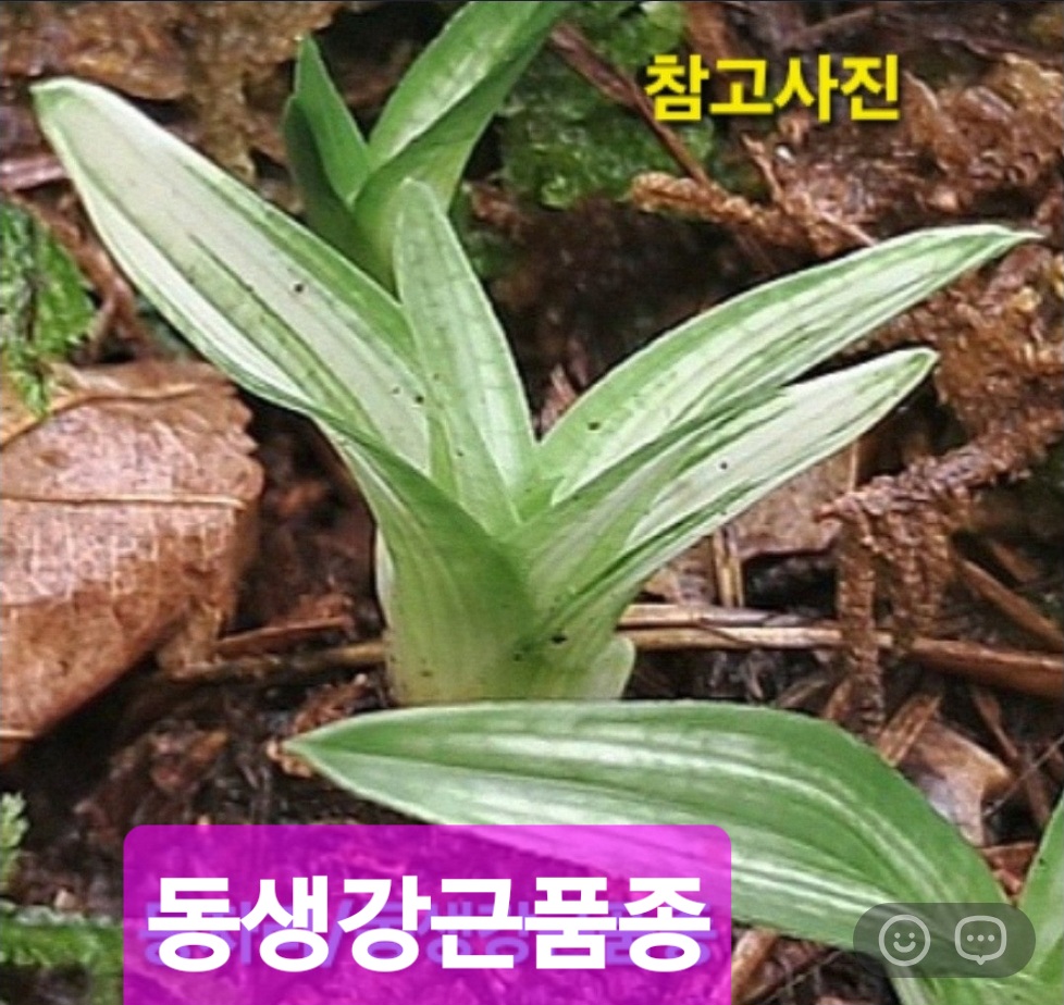 싱싱뉴스☆☆☆☆