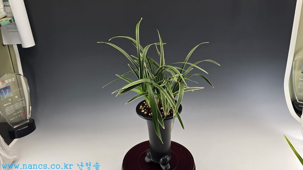 진설관(전시자품/꽃4경?
